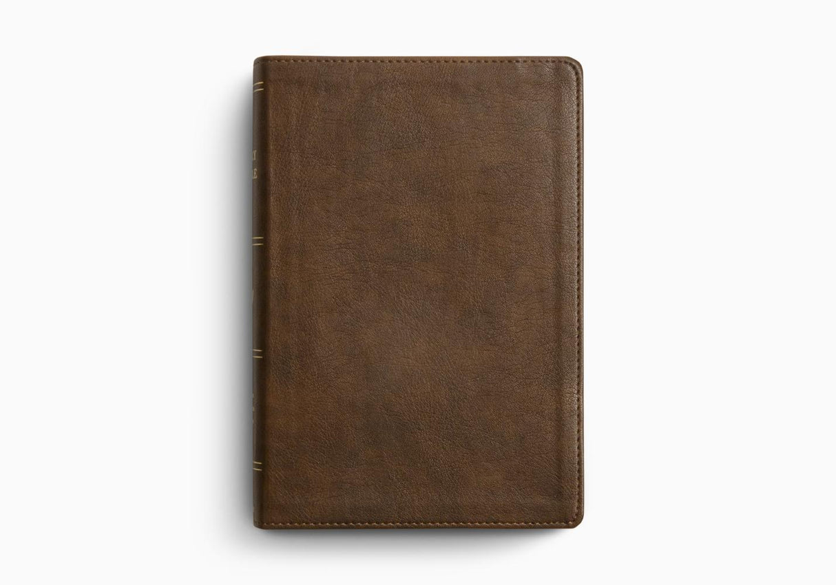 ESV Holy Bible: Dyslexia-Friendly Edition
