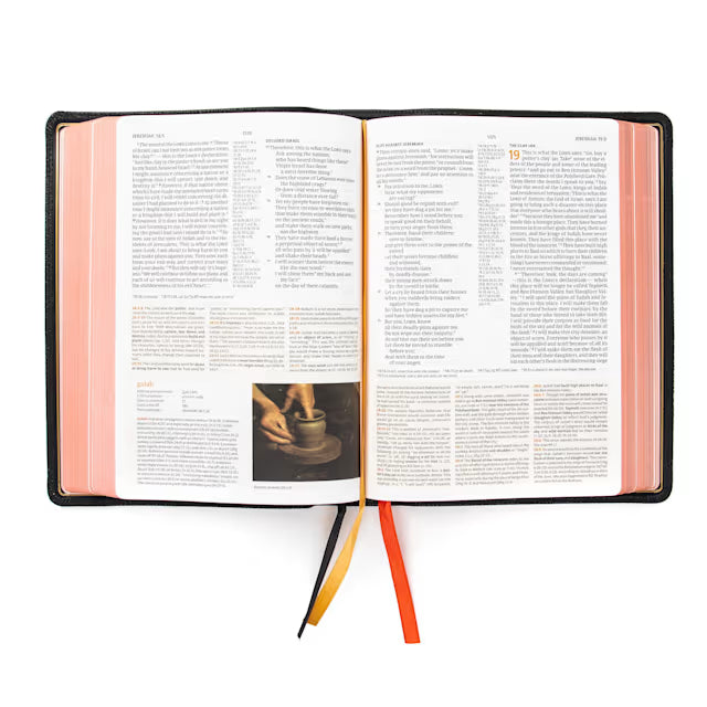 CSB Study Bible, Holman Handcrafted Collection, Black Premium Goatskin