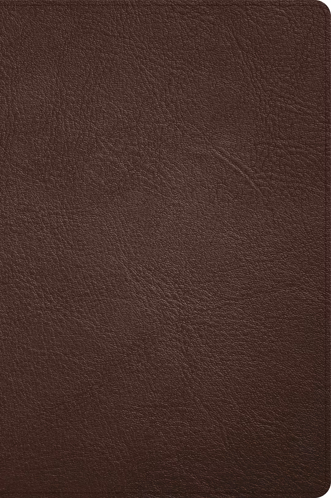 CSB Large Print Thinline Bible, Holman Handcrafted Collection (Goatskin)