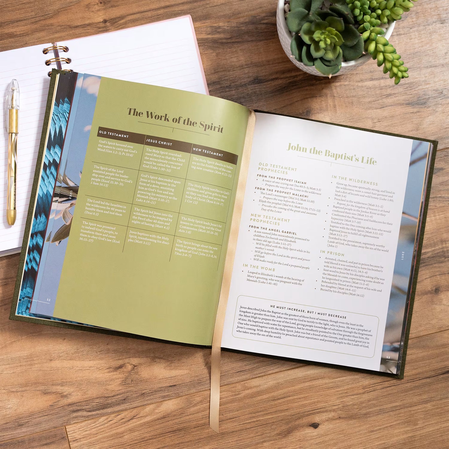 The New Testament Handbook, Sage Cloth Over Board: A Visual Guide Through the New Testament