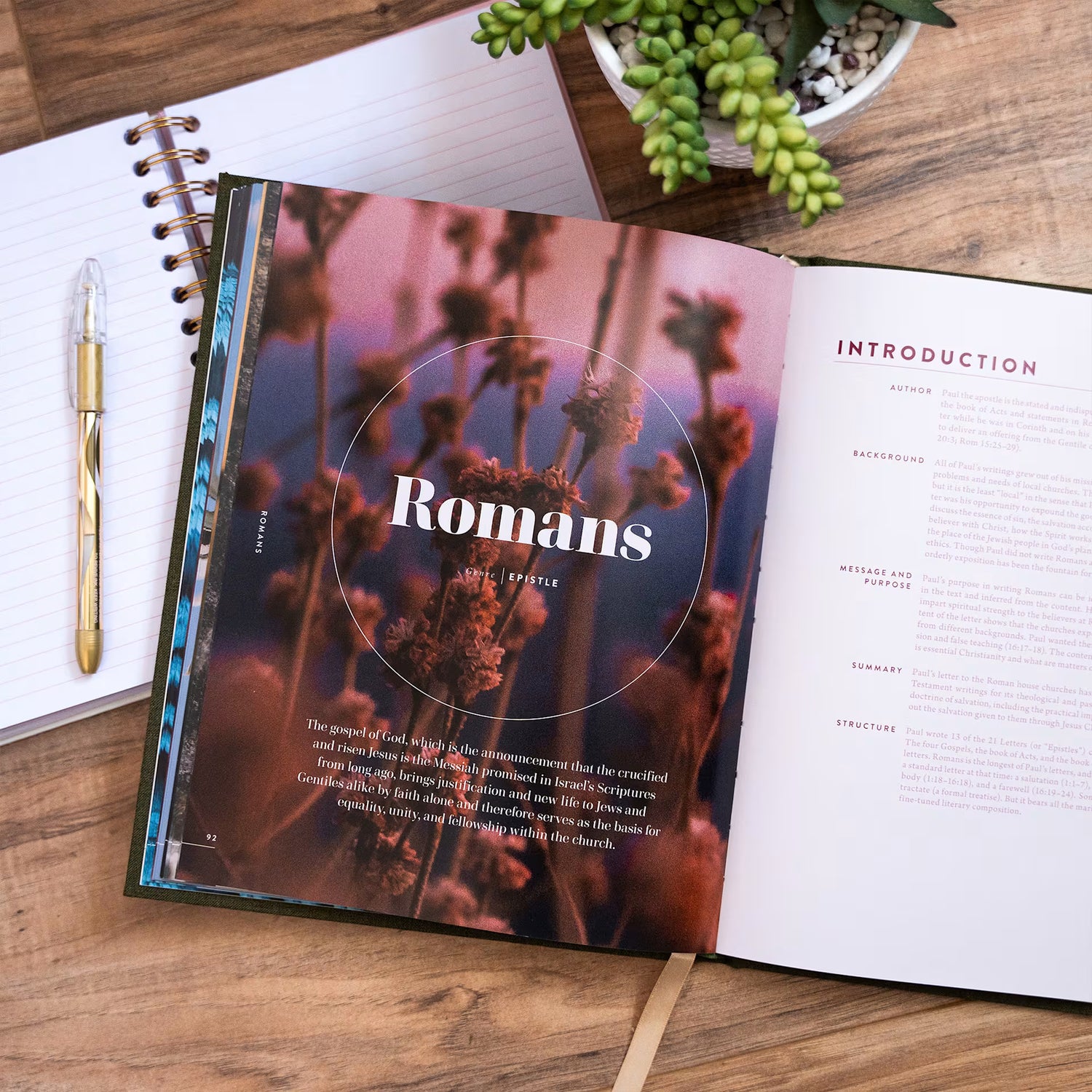 The New Testament Handbook, Sage Cloth Over Board: A Visual Guide Through the New Testament