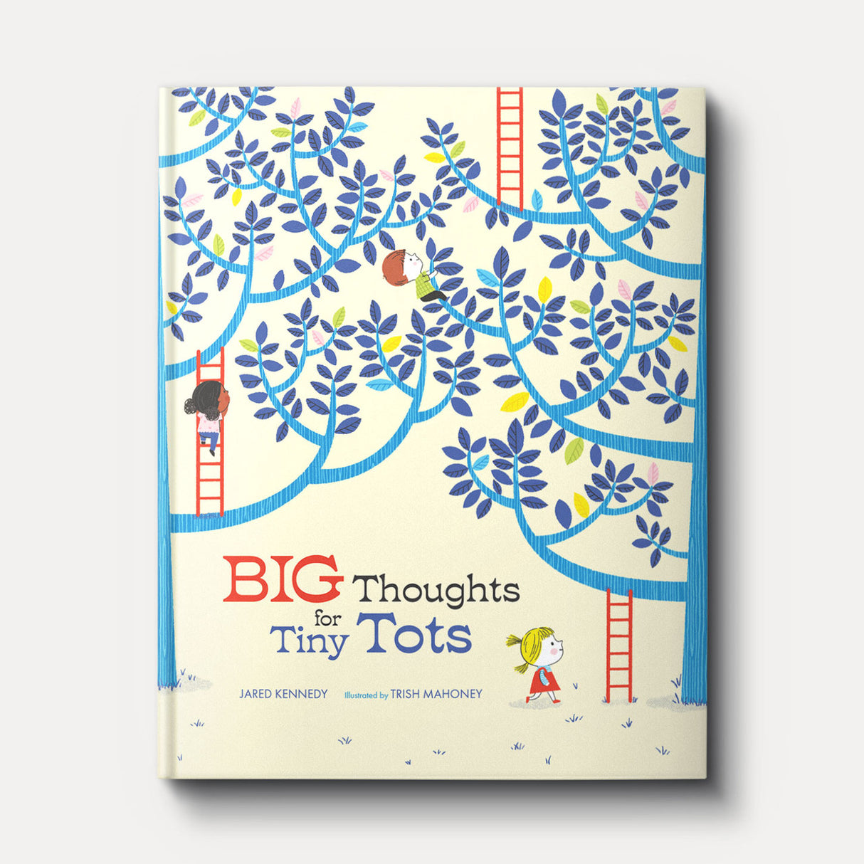 Big Thoughts for Tiny Tots: A Beginner's Gospel Story Book of Questions and Answers