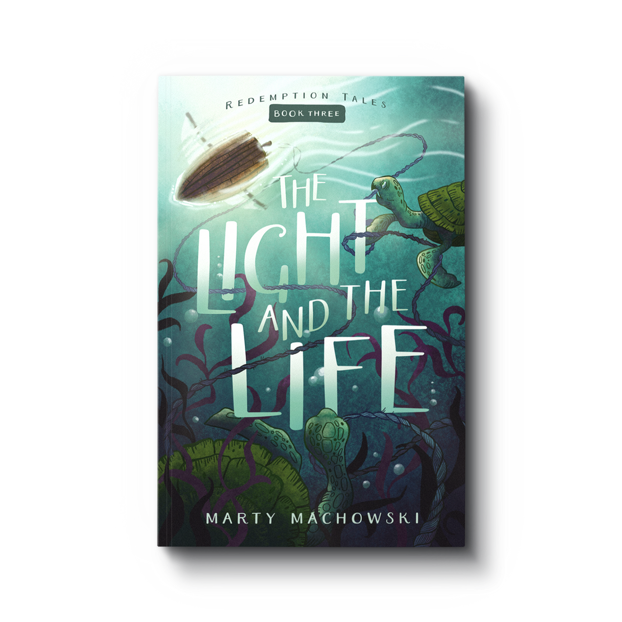 The Light and the Life