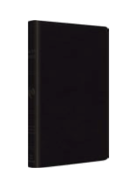 ESV Large Print Value Thinline Bible (TruTone, Black)
