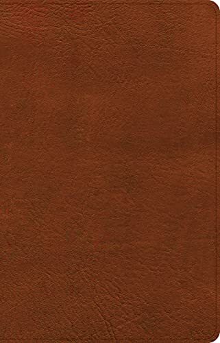 CSB Thinline Bible Burnt Sienna LeatherTouch
