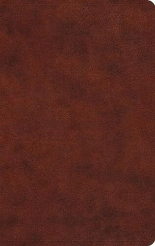 ESV Large Print Value Thinline Bible TruTone Chestnut