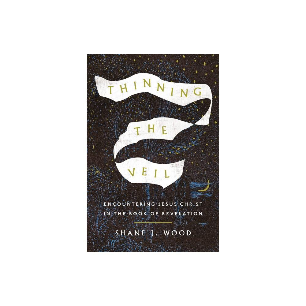 Thinning the Veil - by Shane J Wood (Paperback)