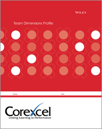 Team Dimensions Profile