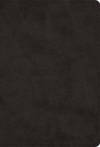 The Greek New Testament, Produced at Tyndale House, Cambridge edited by Dr. Dirk Jongkind and Dr. Peter Williams, is a critical Greek text reflecting decades of scholarly advances and groundbreaking scribal habit studies.