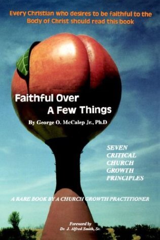 FAITHFUL OVER A FEW THINGS