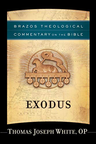 Exodus recounts the origins of ancient Israel, but it is also a book of religious symbols. How should it be interpreted, especially in light of modern historical-critical study? In this addition to an acclaimed series, a respected scholar offers a theolog