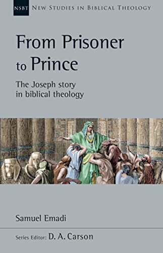 The Joseph Story in Biblical Theology
How should we understand the significance of the story of Joseph within redemptive history? This NSBT volume from Samuel Emadi offers a comprehensive canonical treatment of the Joseph narrative, considering Ge