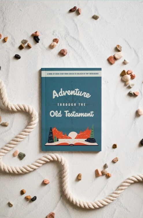 Adventure through the Old Testament Child Workbook