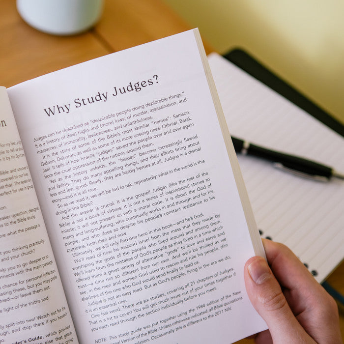 Judges: The Flawed and the Flawless