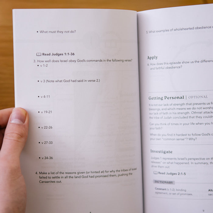 Judges: The Flawed and the Flawless