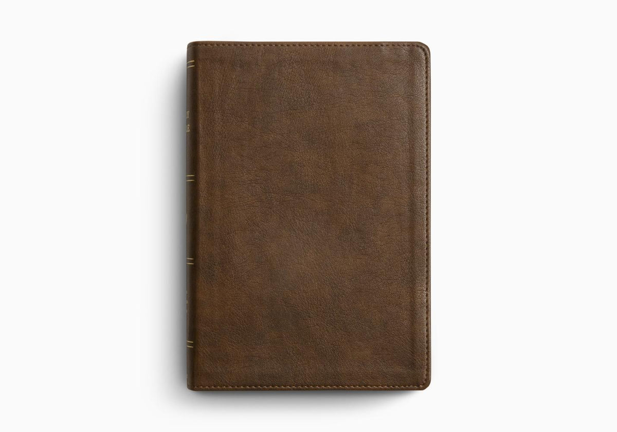 ESV Holy Bible: Dyslexia-Friendly Edition – Sword & Trowel | Tomlinson Cafe