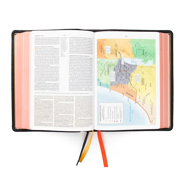 CSB Study Bible, Holman Handcrafted Collection, Black Premium Goatskin