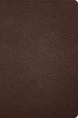 CSB Large Print Thinline Bible, Holman Handcrafted Collection (Goatskin)