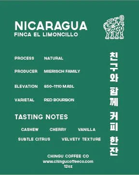 Chingu Nicaragua