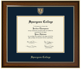 Engraved Medallion Diploma Frame (Bachelors)