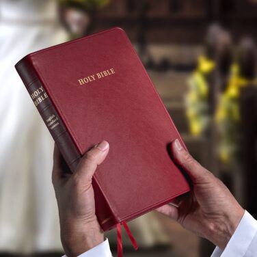 ESV Topaz Reference Bible Calfskin Cherry Red