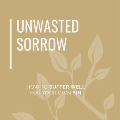 “What I’m really struggling with is the consequence of my sin. I know that sin has consequences and I have to live with mine. I’ve been reading 1 Peter 2:20 and it seems to say that no ‘credit’ is given in God’s eyes for enduring the natural consequences 