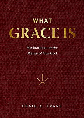 Meditations on the Mercy of Our God


Meditations on grace from a biblical scholar Grace is not limited to God. If one of God's characteristics is grace, it should be one of ours also. Grace runs throughout Christian Scripture, from Genesis to Revelation.