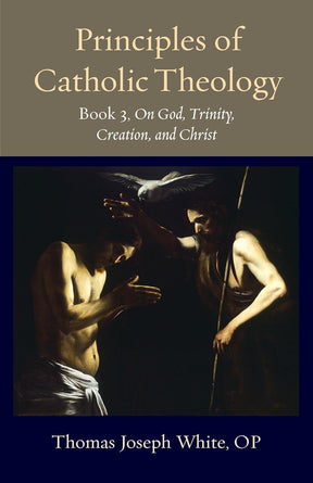 <p>What if anything can human beings know about God, either by way of philosophical reasoning or by divine revelation? How does the mystery of the Incarnation illuminate our understanding of the nature and mystery of God and the nature and destiny of the 
