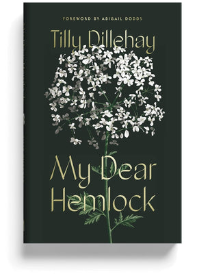 A book for every Christian woman: This spiritual novel is presented in an allegorical, fictional tale, a darkly witty tale of feminine temptation and subtle sabotage. This captivating read is designed specifically for the Christian woman seeking inspirati