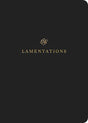 ESV Scripture Journal: Lamentations positions the full text of the book of Lamentations opposite lightly lined blank pages for recording notes and prayers--a great resource for personal Bible reading and reflection, group Bible studies, or sermon notes.