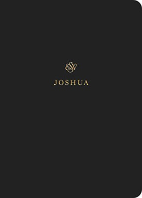 ESV Scripture Journal: Joshua positions the full text of the book of Joshua opposite lightly lined blank pages for recording notes and prayers--a great resource for personal Bible reading and reflection, group Bible studies, or sermon notes.