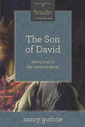 Seeing Jesus in the Historical Books (a 10-week Study)

This ten-week Bible study leads participants through the Old Testament from Joshua to Esther, highlighting how the historical books point to the person and work of Jesus as the true Son of David. Thi