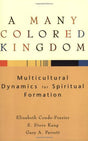 Multicultural Dynamics for Spiritual Formation

A Many Colored Kingdom explores Christian formation and teaching in the church, with a particular focus on intercultural and interethnic relationships.