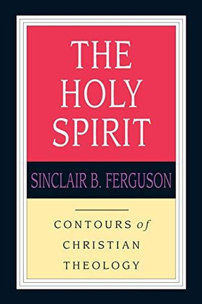 This book studies the Holy Spirit through the lens of both biblical and systematic theology. It provides a comprehensive look at the third person of the Trinity as revealed by Scripture, focusing on eight central themes and assumptions.