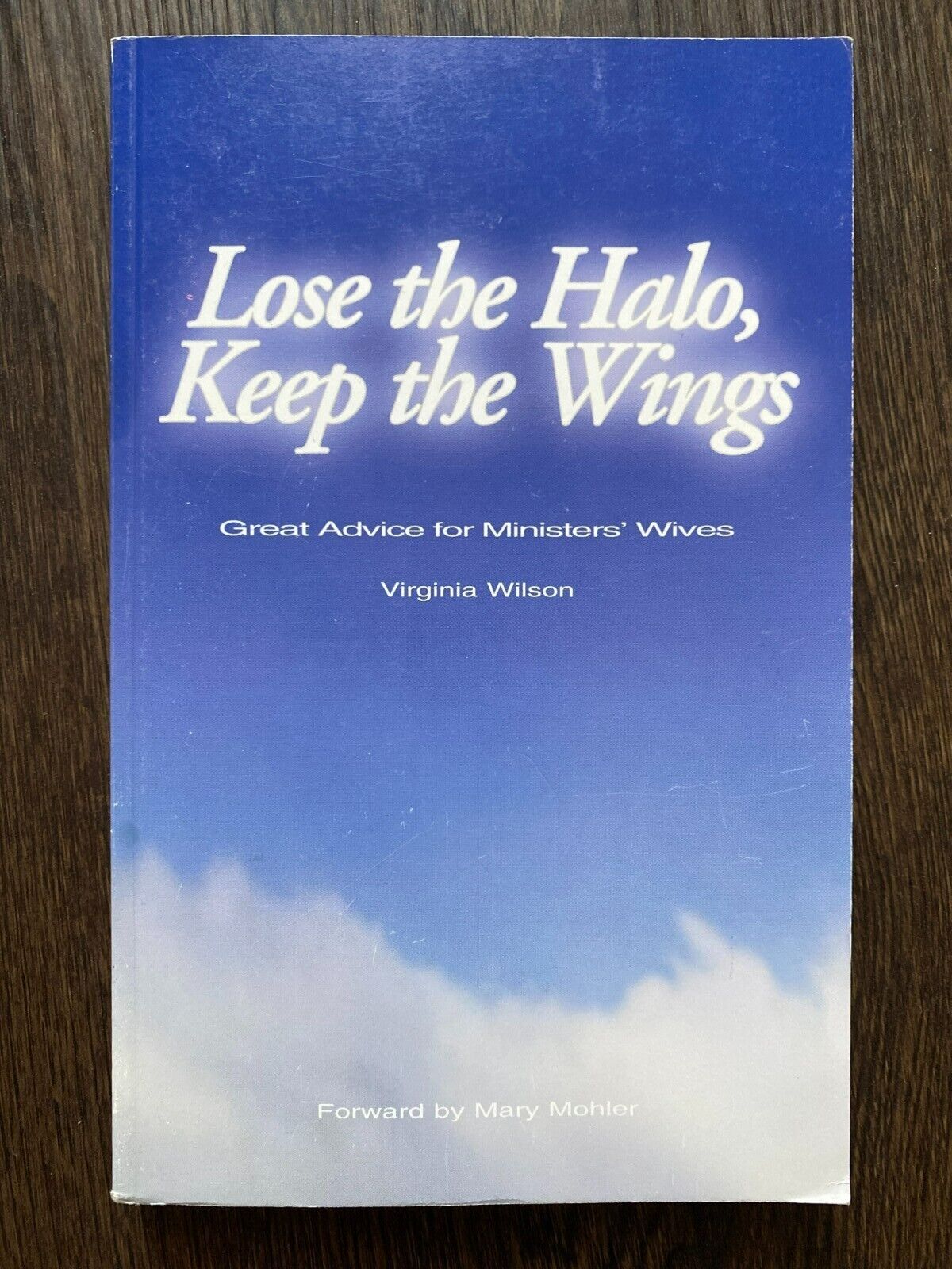 LOSE THE HALO KEEP THE WINGS