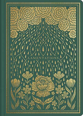 ESV Illuminated Scripture Journal: Lamentations pairs the entirety of the book of Lamentations with a lightly dotted blank page opposite each page of Bible text and hand-lettered illustrations interspersed throughout--providing space to creatively engage 
