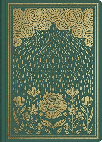 ESV Illuminated Scripture Journal: Lamentations pairs the entirety of the book of Lamentations with a lightly dotted blank page opposite each page of Bible text and hand-lettered illustrations interspersed throughout--providing space to creatively engage 