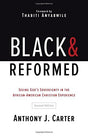 Seeing God's Sovereignty in the African-American Christian Experience

Carter shows how Reformed theology best speaks to African-American experience and demonstrates how black experiences and traditions can and should deeply enrich our theology, no matter