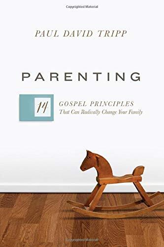 The 14 Gospel Principles That Can Radically Change Your Family

This book sets forth fourteen practical and gospel-centered principles that help parents view their role through the lens of God's grace, radically changing how they interact with their child