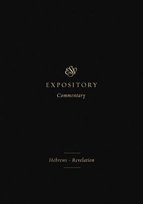 Hebrews-Revelation

Six experienced Bible teachers walk through some of the richest but more challenging books of the New Testament, helping Bible readers understand what they say about Christians' hope for the future.