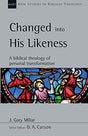 A Biblical Theology of Personal Transformation

When it comes to the Christian life, what exactly can we expect with regard to personal transformation? In this NSBT volume Gary Millar explores the nature of gospel-shaped change, focusing on "life in the m