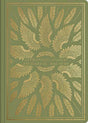 ESV Illuminated Scripture Journals pair the entirety of books of the Bible with a lightly dotted blank page opposite each page of Bible text and hand-lettered illustrations interspersed throughout--providing space to creatively engage with and reflect on 
