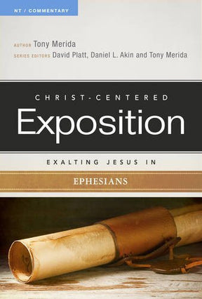 This series affirms that the Bible is a Christ-centered book, containing a unified story of redemptive history of which Jesus is the hero. It’s presented as sermons, divided into chapters that conclude with a "Reflect & Discuss" section, making this serie
