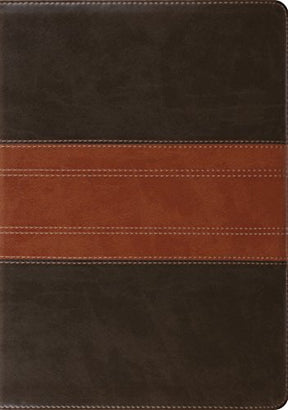 Combining the best and most recent evangelical Christian scholarship with the highly regarded ESV text, the ESV Study Bible is the most comprehensive study Bible ever published.