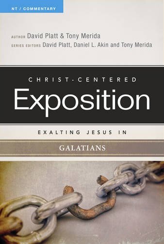 This series affirms that the Bible is a Christ-centered book, containing a unified story of redemptive history of which Jesus is the hero. It’s presented as sermons, divided into chapters that conclude with a "Reflect & Discuss" section, making this serie