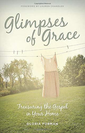 Treasuring the Gospel in Your Home

The work that goes into managing a home can sometimes feel boring and insignificant. Furman reminds women of the gospel's extraordinary power over ordinary life, helping homemakers see and savor the miraculous in the mu