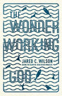 Seeing the Glory of Jesus in His Miracles

Following up where The Storytelling God left off, this book by Jared Wilson examines Jesus's miracles as recorded in the Gospels, defending their historicity, explaining their meaning, and highlighting their sign