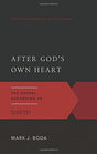 The Gospel According to David

With lucid insights on every page, After God's Own Heart examines the life of David, showing how the Old Testament king relates to anointing, covenant, the temple, and sin. But ultimately, the author shows how 
