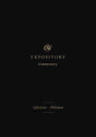 Ephesians-Philemon

With contributions from a team of pastors and scholars, this commentary through 9 of Paul's letters helps students of the Bible to understand how each epistle fits in with the storyline of Scripture and applies today.