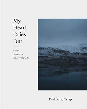 Gospel Meditations for Everyday Life

Paul David Tripp shares his celebrations, disappointments, cries for help, confessions, and confusions in the form of 120 poems written as he experienced God's grace in various seasons of his life.